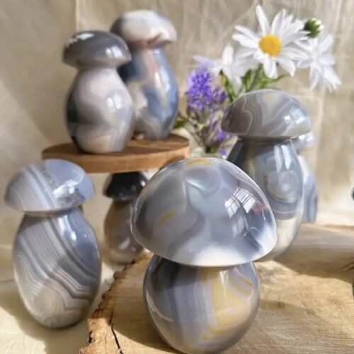 Natural agate killer whale mushroom carving crystal rough stone